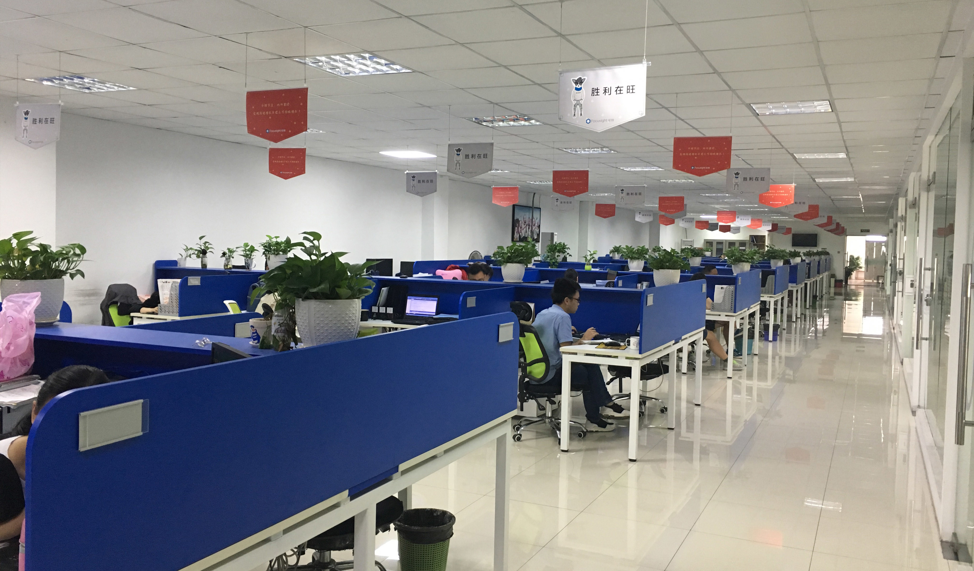 China Focusight Technology Co.,Ltd Perfil da companhia