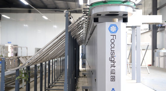 Máquina de triagem de rosas e máquina de embalagem de rosas Focusight