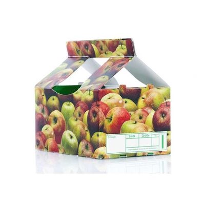 Frutos &amp; empacotamento vegetal com as caixas que imprimem a máquina do controle da qualidade da inspeção