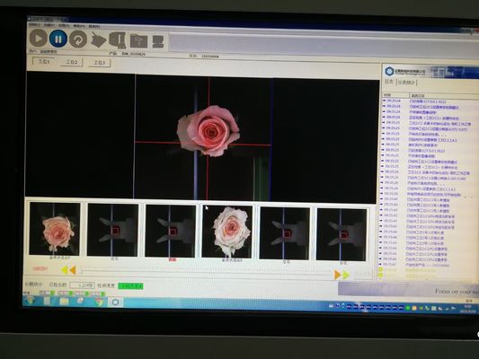 Equipamento da inspeção da visão da detecção da flor totalmente automático